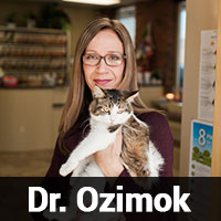 Dr. Ozimok
